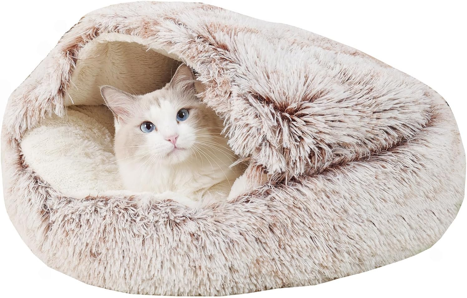 2-in-1 Round Cushion & Warm Pet House for Cats and Small Dogs - Curio & Co.