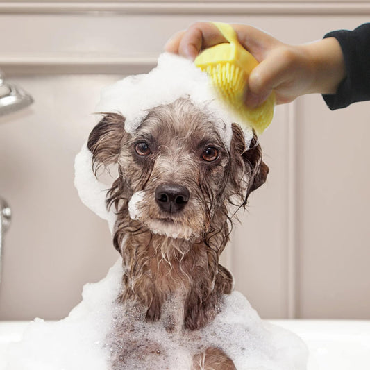 Silicone Pet Grooming Fur Brush - Curio & Co.
